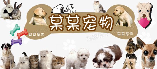 离线比特币钱包