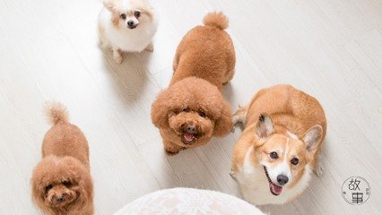 OKpay下载官网