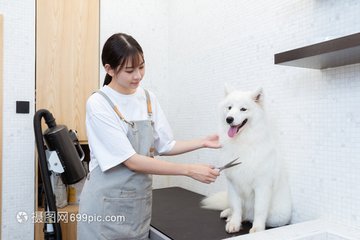 usdt官方安卓版app下载