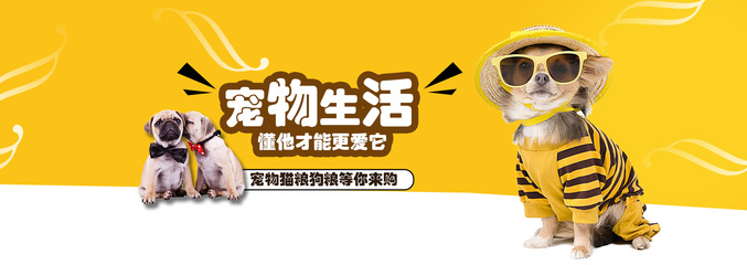 ok钱包app下载安装苹果