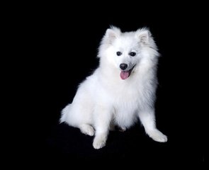 易欧okey官网地址