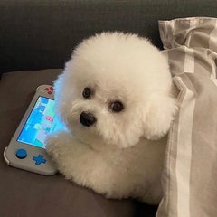 metamask钱包教程