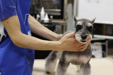 怎么申请比特币钱包帐号