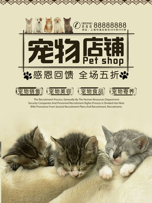比特龙比特币钱包